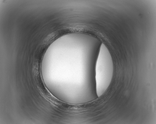 X0000080150498200612081056