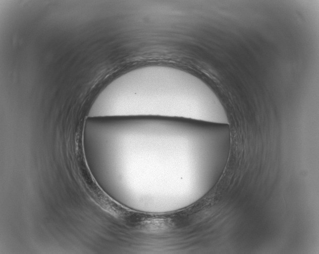 X0000080150499200612081056