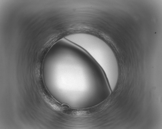X0000080150501200612081056