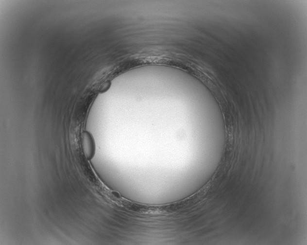 X0000080150503200612081056