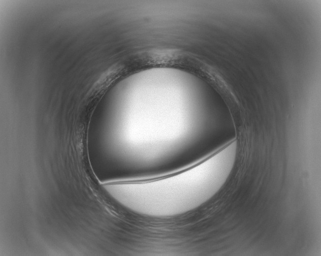 X0000080150505200612081056