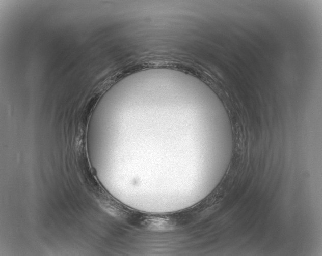 X0000080150507200612081056