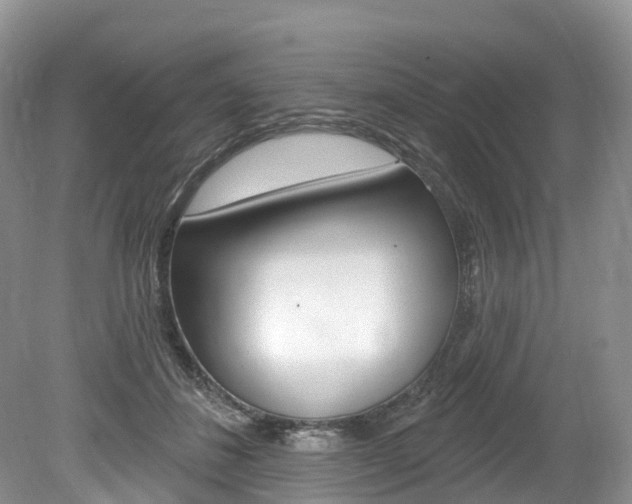 X0000080150508200612081056