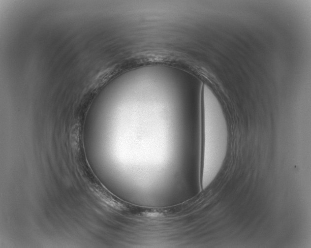 X0000080150509200612081056