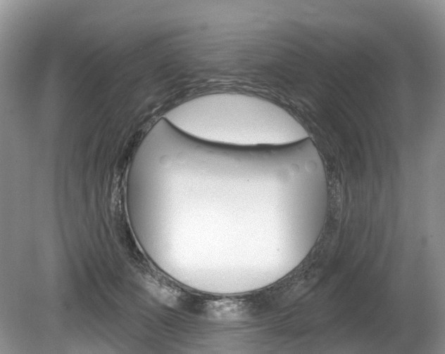 X0000080150511200612081056