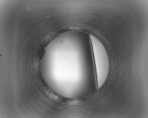 X0000080150513200612081056