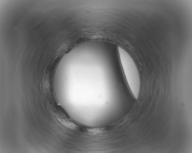 X0000080150516200612081056