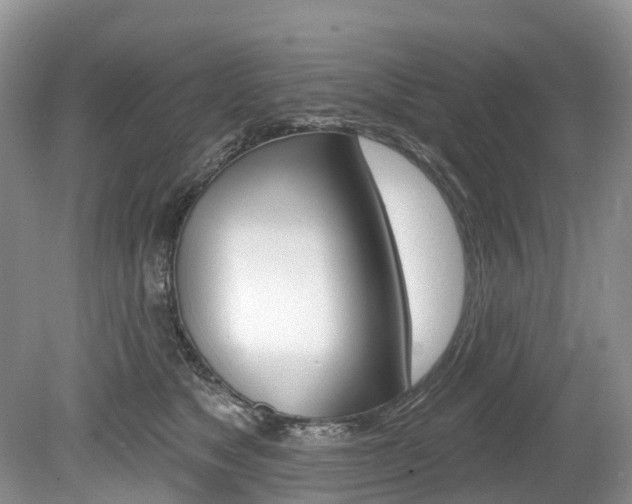 X0000080150517200612081056