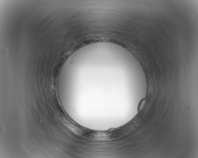 X0000080150518200612081056