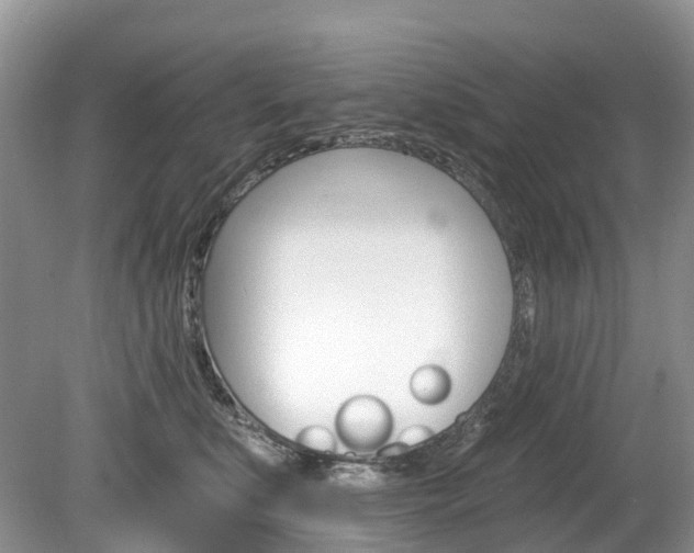 X0000080150519200612081056
