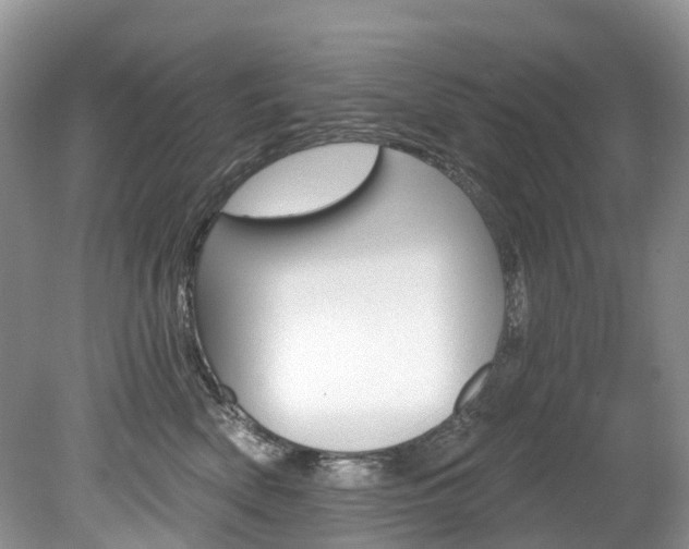 X0000080150522200612081055