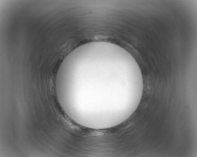 X0000080150523200612081055