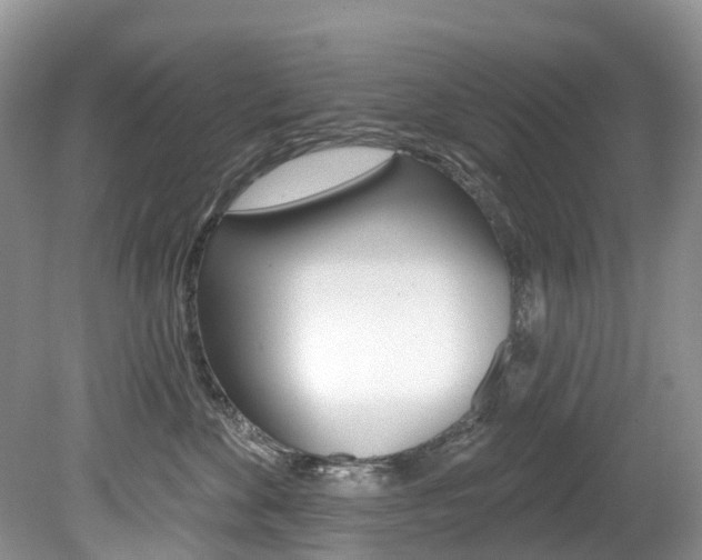 X0000080150524200612081055