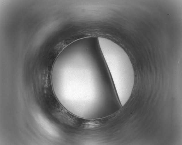 X0000080150525200612081055