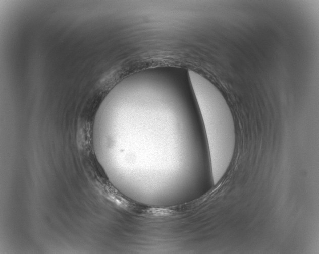 X0000080150528200612081055