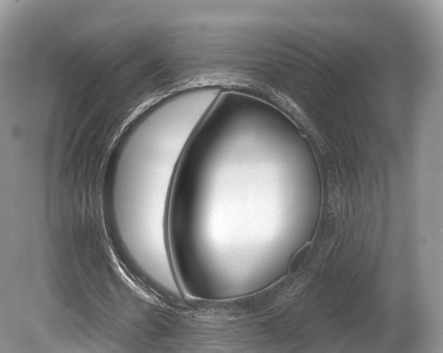 X0000080150530200612081055