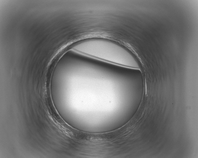 X0000080150531200612081055