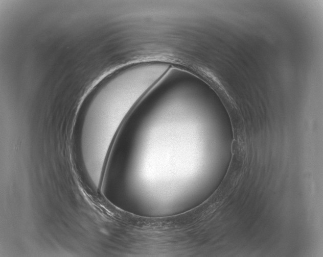 X0000080150532200612081055