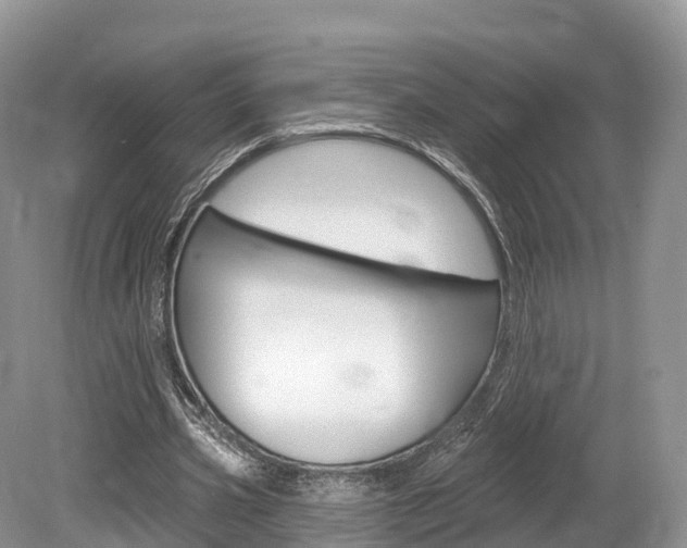 X0000080150533200612081055