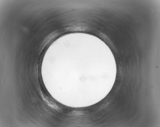 X0000080150534200612081055