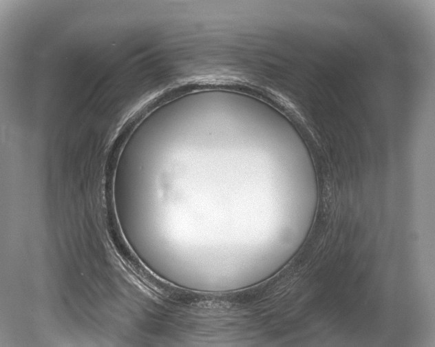 X0000080150535200612081055
