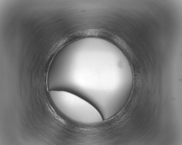 X0000080150537200612081055