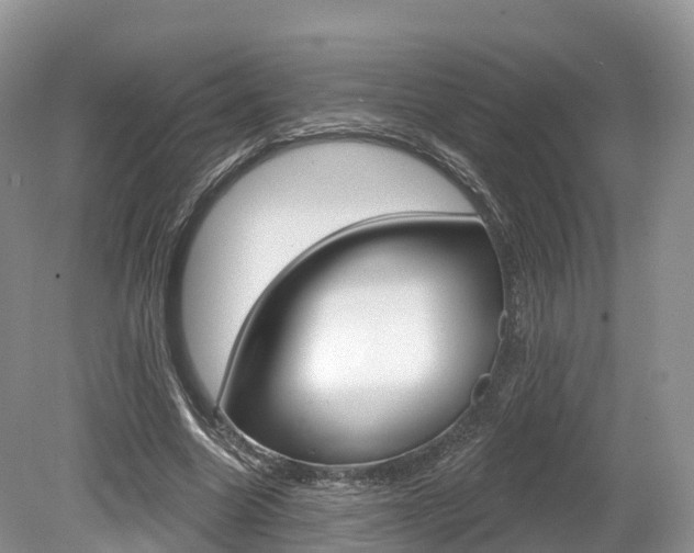 X0000080150538200612081055
