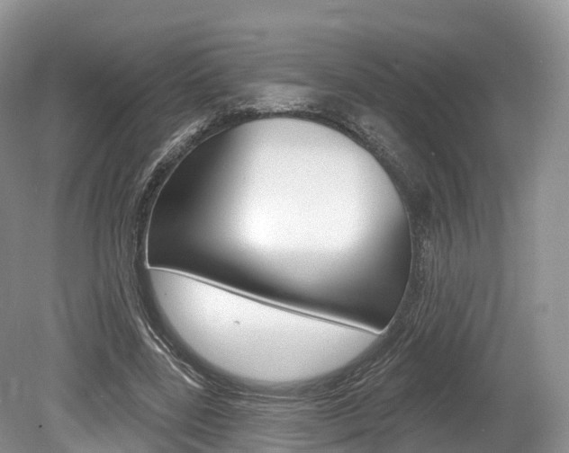 X0000080150539200612081055