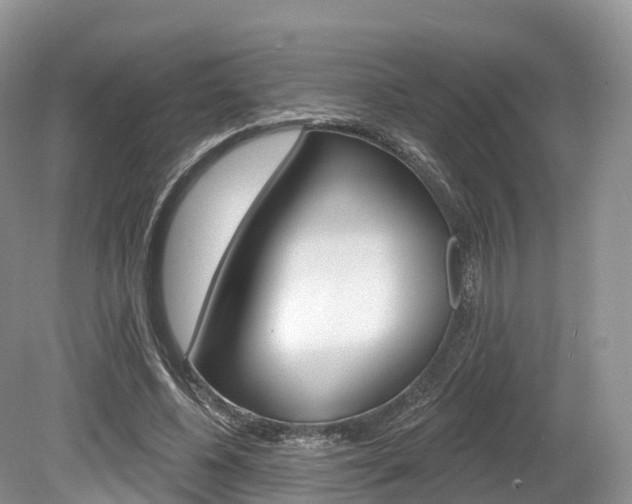 X0000080150540200612081055