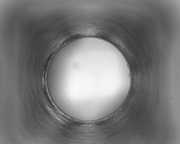 X0000080150541200612081055