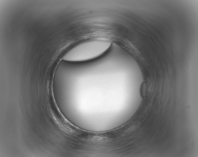X0000080150542200612081055