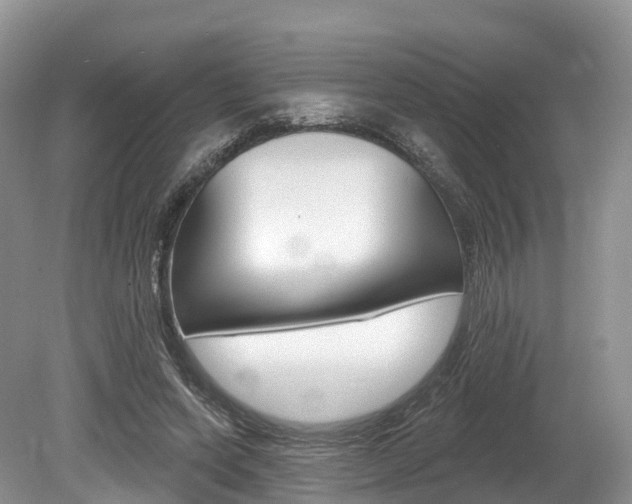 X0000080150543200612081055