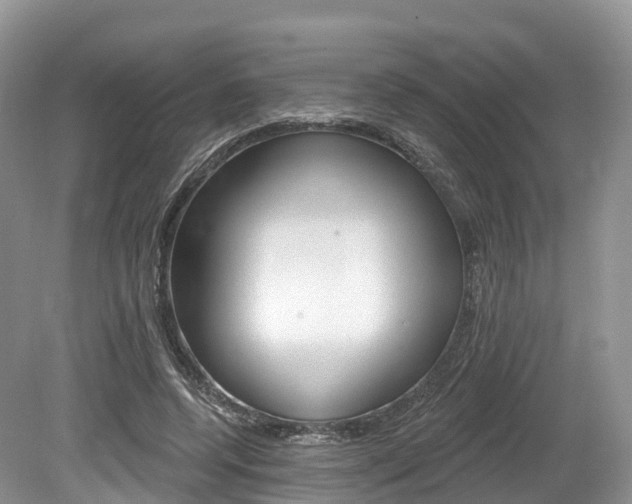 X0000080150544200612081055