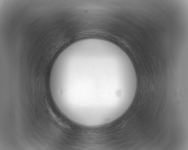 X0000080150546200612081055