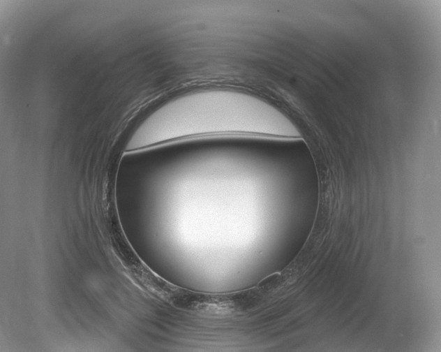 X0000080150548200612081055