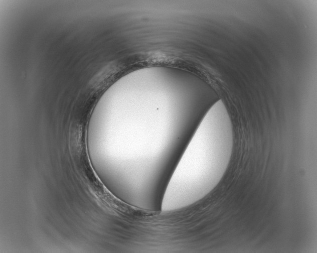 X0000080150550200612081055