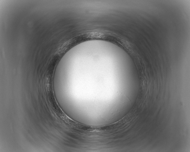 X0000080150551200612081055