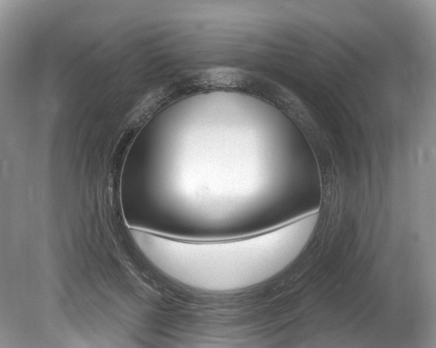 X0000080150552200612081055