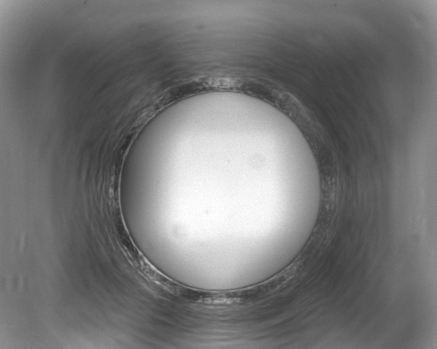 X0000080150553200612081055