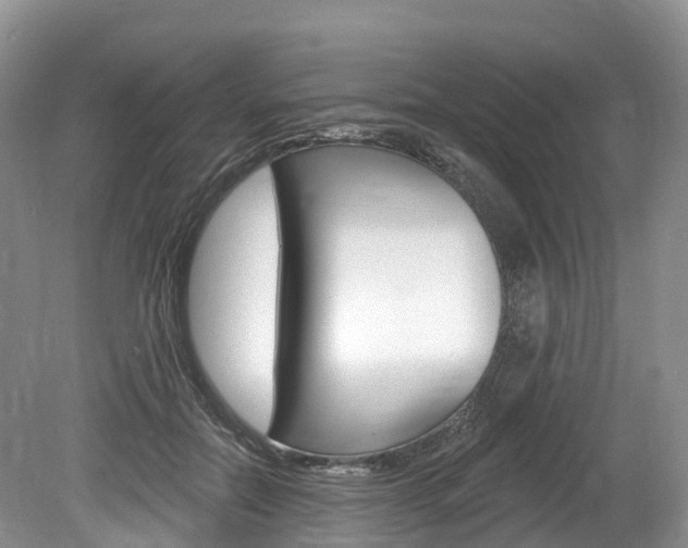 X0000080150554200612081055