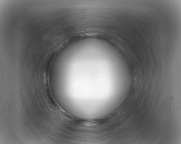 X0000080150555200612081055