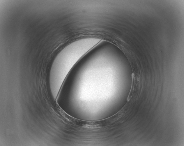 X0000080150556200612081055