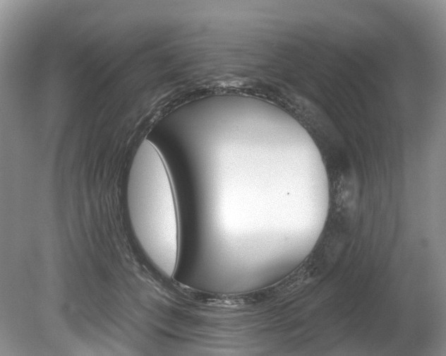 X0000080150559200612081055