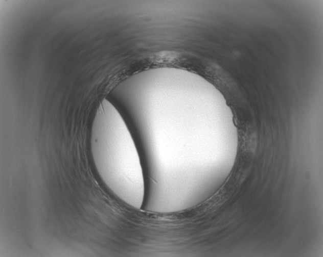 X0000080150561200612081055