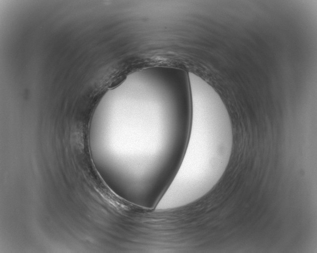 X0000080150562200612081055