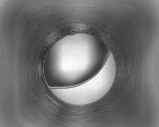 X0000080150564200612081055