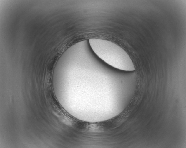 X0000080150565200612081055