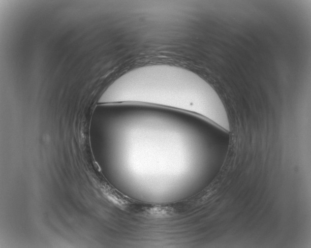 X0000080150566200612081055