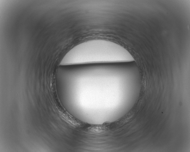X0000080150567200612081055