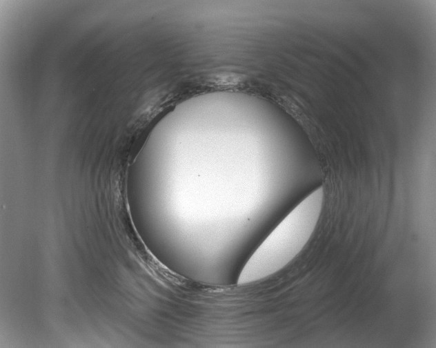 X0000080150568200612081055